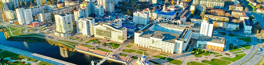 Букет роз в Вологде